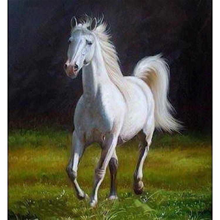 Rafflesia Arnoldi Raad eens venijn Schilderij het witte paard - Handgeschilderd | Kunst voor in huis