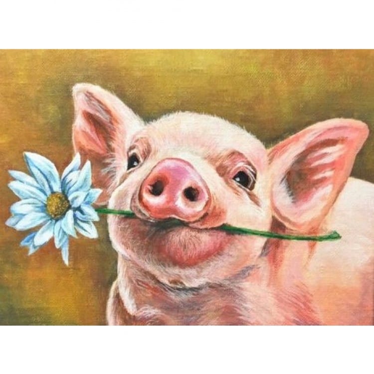 pastel Desillusie uitzetten Schilderij varkentje met bloem - kopen | Kunst voor in huis